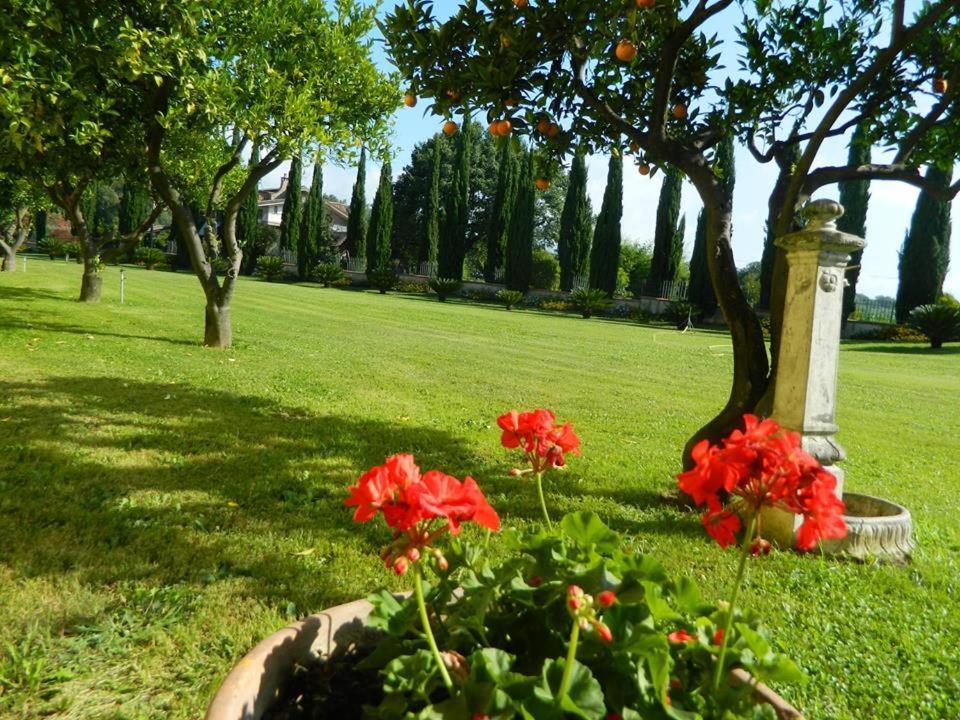 Villa Lucilla Altavilla Silentina Exterior foto